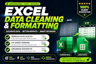 excel data cleaning, formatting, and data organization