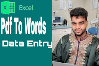 professional  pdf to word or pdf to excel and microsoft excel