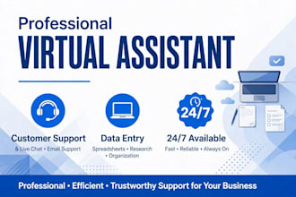 provide customer support and data entry service