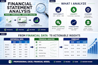 analyze financial statements, ratios and forecasts