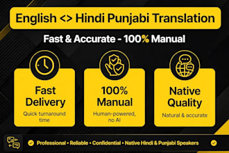 translate english to hindi punjabi and hindi to english professionally