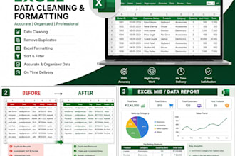 clean, format and organise your excel data