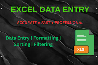 do excel data entry and spreadsheet formatting