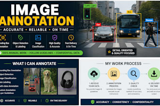 do accurate image annotation and image labeling