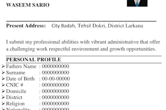 write CV resume and linkedin profile