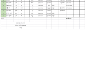 professional data entry, web research, and copy paste work