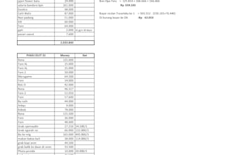 convert PDF to excel accurately with fast delivery