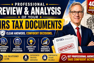 provide professional review and analysis of your irs tax documents