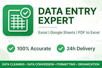 do accurate data entry excel cleanup and pdf to excel in 24hours
