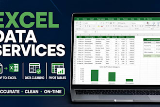 do microsoft excel data entry, cleaning, PDF conversion and analysis
