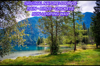 provide relaxing nature rain and bird sounds