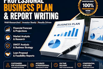 write professional business plans and feasibility reports
