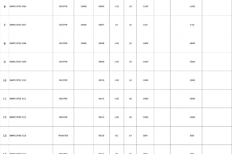 do excel payroll data entry and salary calculation