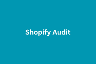 audit your shpify store