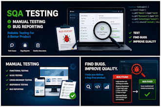 do manual testing functional testing and bug reporting for your website