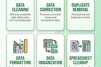 provide professional excel services