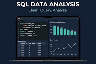 do sql queries, database cleaning, and data reports