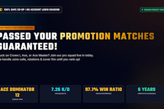 help you pass your pubg promotion matches
