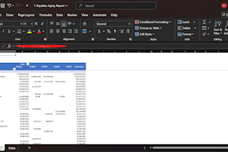 create sap custom dynamic aging reports with dropdown views