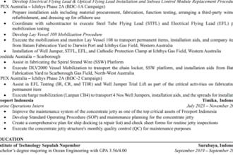 provide CV review, resume feedback, and interview coaching