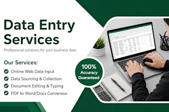 do professional data entry and online web data input