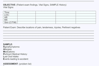 write professional and accurate soap notes
