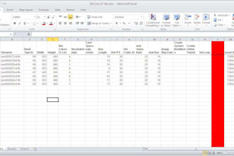 do professional microsoft excel and word document formatting