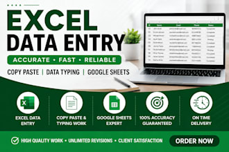 do accurate excel data entry and data cleaning