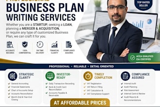 write professional business plan with high accuracy