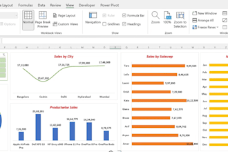 create mis reports, excel dashboard and data visualization