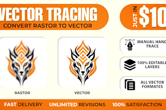 do manually vector tracing and convert raster to vector