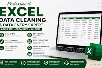 do excel data entry, data cleaning, merge, PDF to excel