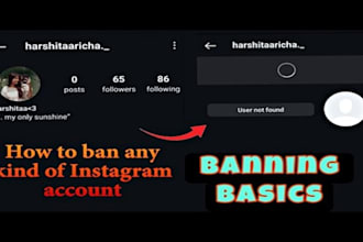 takedown copyright tiktok content banning, harassing post banning, ig banning
