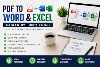 do data entry, copy typing, PDF to word and excel work