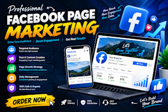 professional facebook page manager
