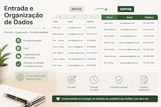 organizar documentos e dados no excel