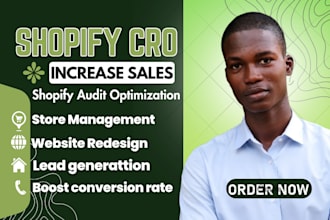 audit your shopify store increase conversion rate shophify cro store review