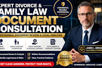 provide expert divorce and family law legal consultation