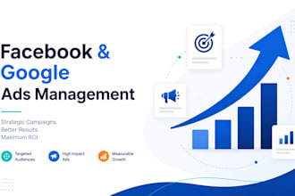 facebook ads campaign setup and  management