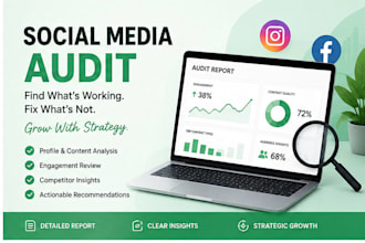 audit your instagram or facebook and give you a growth strategy