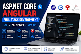 fix and develop aspnetcore csharp angular sql applications