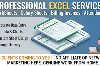 do professional excel marksheets billing and salary sheets