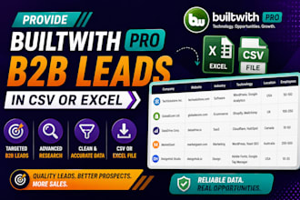 provide builtwith pro b2b leads in csv or excel