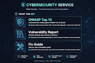 do advanced  vulnerability assessment for your website