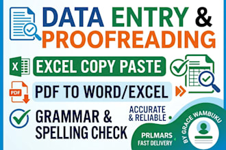 do accurate data entry, excel copy paste, and pdf conversion