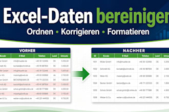 clean and organize your excel spreadsheet