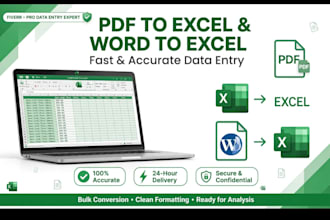 do data entry, pdf to excel, word to excel, copy paste