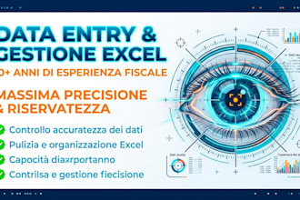 are data entry professional, organizzazione dati ed inserimento fogli excel
