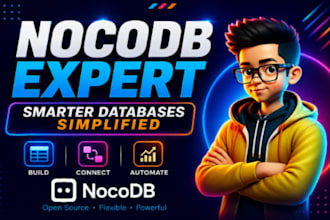 develop custom nocodb database, airtable, baserow coda and database for your biz