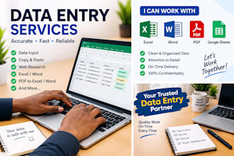 do data entry copy paste and excel data entry
